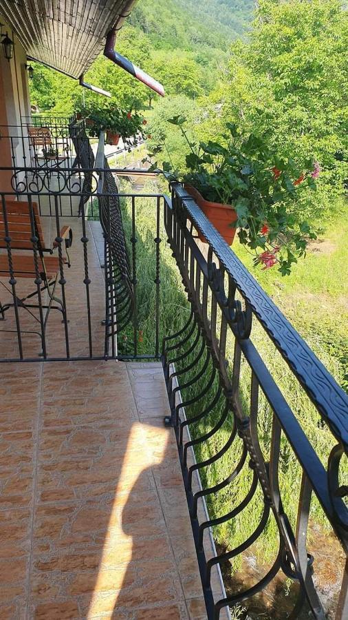 Pensiunea Mirela Pestera Ursilor Chiscau Exterior foto