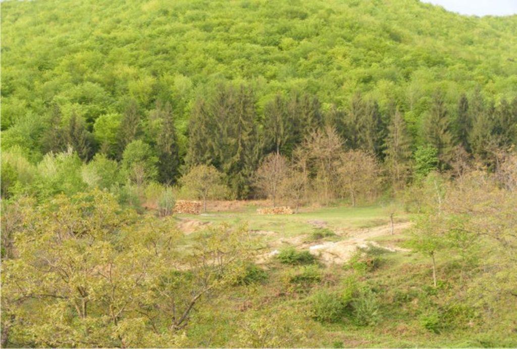 Pensiunea Mirela Pestera Ursilor Chiscau Exterior foto